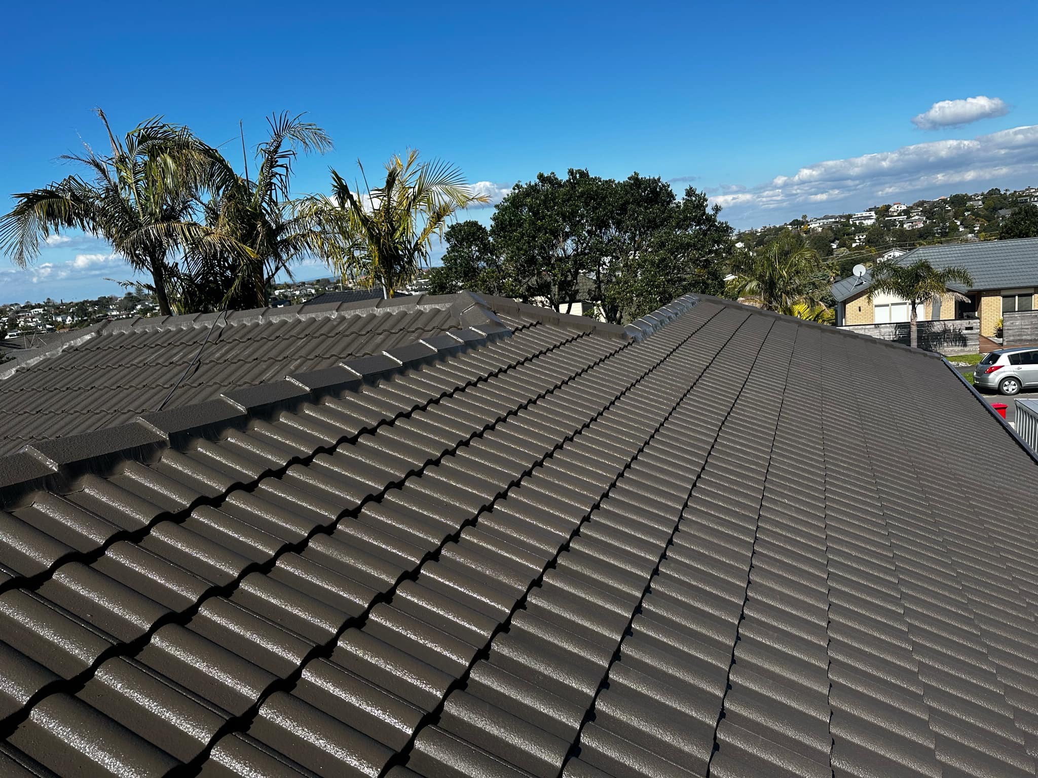 Roof painting in summer